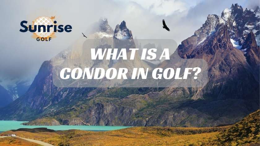 What is A Condor In Golf?
