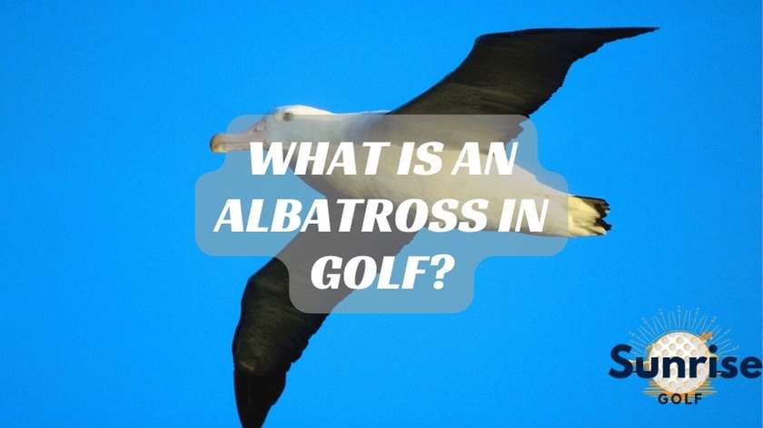What Is An Albatross In Golf