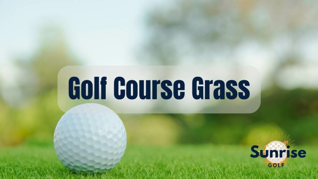 Golf Course Grass