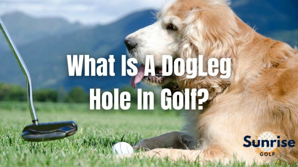 Dog Leg Golf